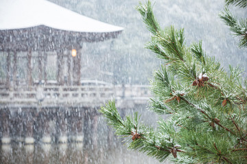 松かさと雪景色