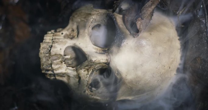 Human skull on the wet soild with smoke flowing