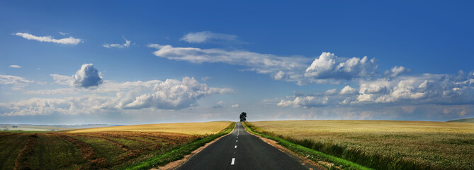 Panorama road against a beautiful sky, travel and vacation - obrazy, fototapety, plakaty