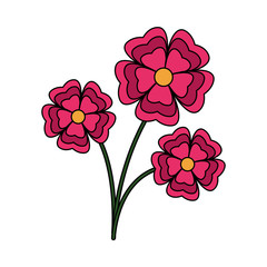 beautiful flowers icon over white background