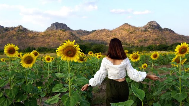 woman walking and enjoying with sunflower field at Kao Jeen Lae in Lopburi, Thailand
