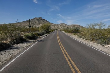 Fototapeta premium A paved road curves through the desert