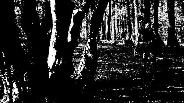 Animation of walking zombie in the wood in cartoon style black & white