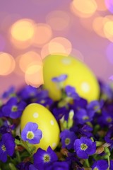 Easter holiday. easter eggs in bright violet colors on a light purple background with golden bokeh.Spring festive bright background.