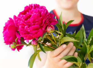 a man holding a bouquet of beautiful gorgeous pink peonies for Happy Women's Day or Valentine’s Day; a kid congratulates his mother on Mother's Day or birthday
