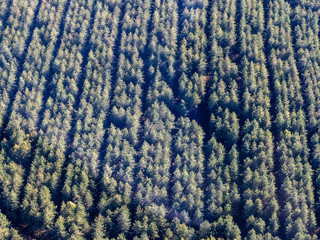 vue aérienne de champs à Morainvilliers dans les Yvelines en France
