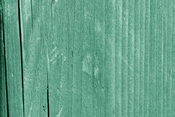 Fototapeta na wymiar Wooden surface texture close up. Abstract background green color toned