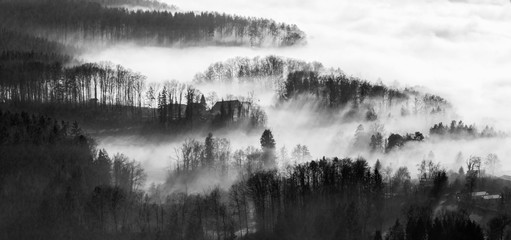 Morning fog with morning sunshine through the woods on the Uetliberg Hill in Zurich