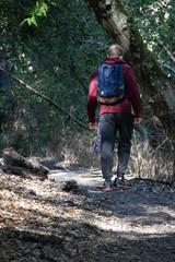 Hiker on a trail in the woods