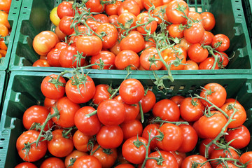 Sale of fresh vegetables. Red tomatoes in the crates.
