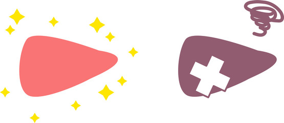 シンプルな健康・不健康な肝臓のイラスト　内臓　/　消化器