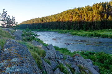 rifts on the river along the banks of the river coniferous forest and stones