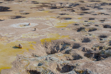 Schwefelfumarolen mit Schwefelkristallen auf dem Stefanos-Krater Nisyros Griechenland