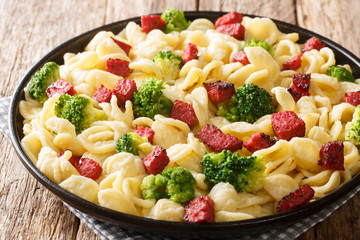 Homemade orecchiette with boiled broccoli and fried sausages close-up in a plate.. horizontal