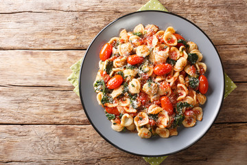 Vegetarian Italian pasta orecchiette with spinach in tomato sauce close-up in a plate. Horizontal...