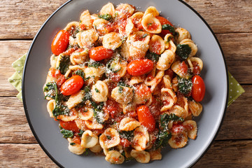 orecchiette pasta with spinach in tomato sauce sprinkled with parmesan closeup in a plate. Horizontal top view
