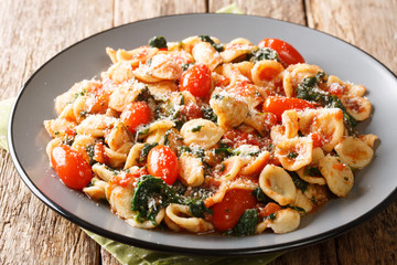 orecchiette pasta with spinach in tomato sauce sprinkled with parmesan closeup in a plate on a table. horizontal