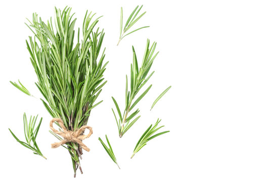 rosemary leaves isolated on white background. rosemary bunch. top view