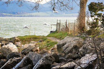 vENTO, SCOGLI E GABBIANI