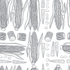 Hand drawn corn set. Vector  seamless pattern.