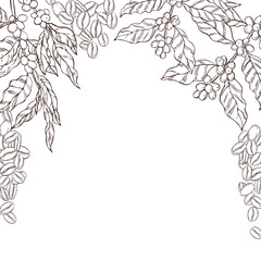 Vector background with hand drawn  coffee  plants and beans. Sketch  illustration.