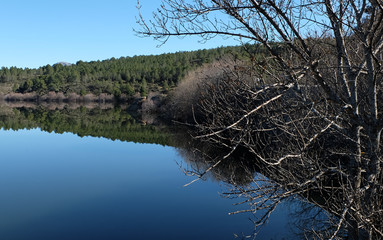 Natural landscape with trees reflecting in the water of a lake, Lozoya Valley, Madrid, Spain