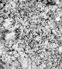 White snowflakes as abstract background