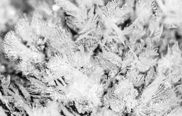 White snowflakes as abstract background