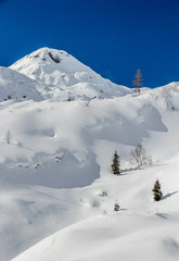 Fototapeta na wymiar Idyllic mountain landscape covered in snow with some trees