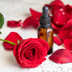 Obraz na płótnie Canvas Essential rose oil in glass bottle and fresh rose flower on light background with copy space. Concept alternative health care for wellness and Aromatherapy.