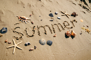 summer text on sand beach shells and starfish around