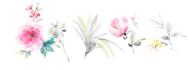 Fototapeta na wymiar Flower illustration elements