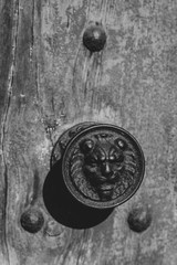 Close up of an old knocker - 316939949
