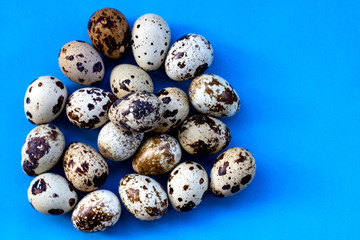 Quail eggs on a blue background. A lot of spotted eggs. Top view, isolate. Place for text, copy space.