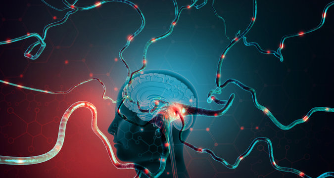 Human brain with active neuron cell. 3d illustration