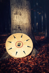 shamanic drum in nature, shamanic drum made of deer goat.