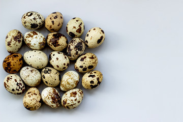 Quail eggs on a gray background. A lot of spotted eggs on the light. Top view, isolate. Place for text, copy space.