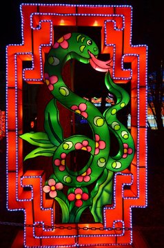 Signe astrologie chinoise serpent