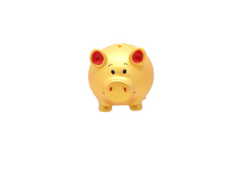 Golden pig piggy bank. Isolated on white