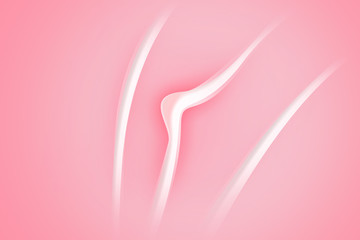 Female reproductive system and clitoris. Anatomical structure of the vulva, clitoris. Possible concepts, 3d illustration