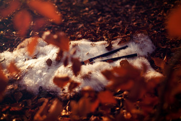 Double flute on a goat in the autumn forest,