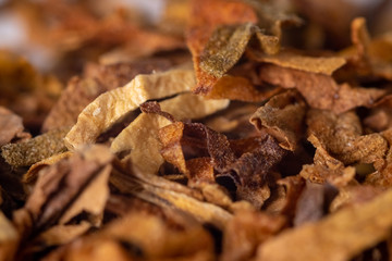 A pile of freshly cut tobacco texture in the background. Closeup