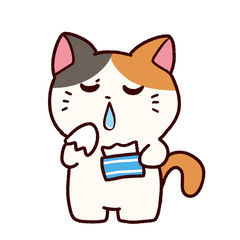 風邪で鼻水がでているミケ猫