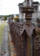 Rusty fence in a cemetery - 316943747