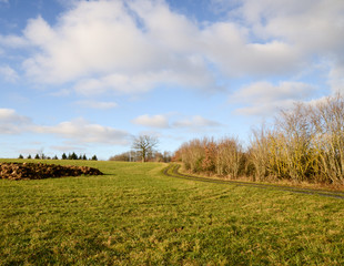 Fototapeta na wymiar landscape with grass field and blue sky