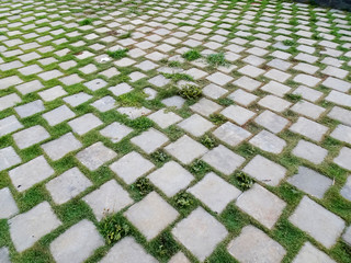 Fototapeta premium Rectangle-shaped paving blocks and green grass as landscape surface material