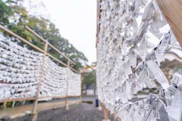 Japanese random fortune telling paper (Omikuji) folded and tied on rope wires (Omikuji kake) in traditional temple, concept of bringing blessing.