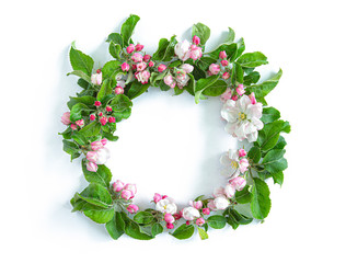 Floral round wreath with apple blossom  isolated on white background. Frame of apple blossom and leaves..