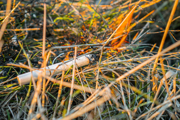 An abandoned, non-smoked cigarette sets fire to dry grass on the ground. A thrown cigarette butt provokes a forest fire. The concept of eclogical cotostrophy through human fault.