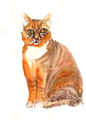 watercolor sitting ginger cat with green eyes